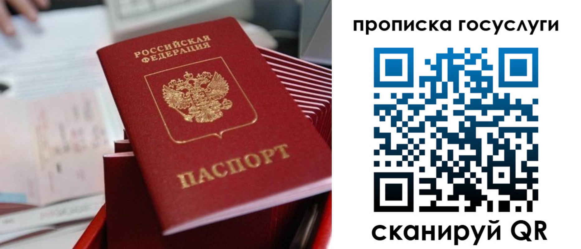 прописка законно в Щёкино